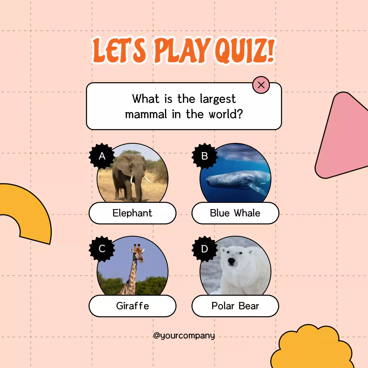 Orange Simple Trivia Quiz Publicity