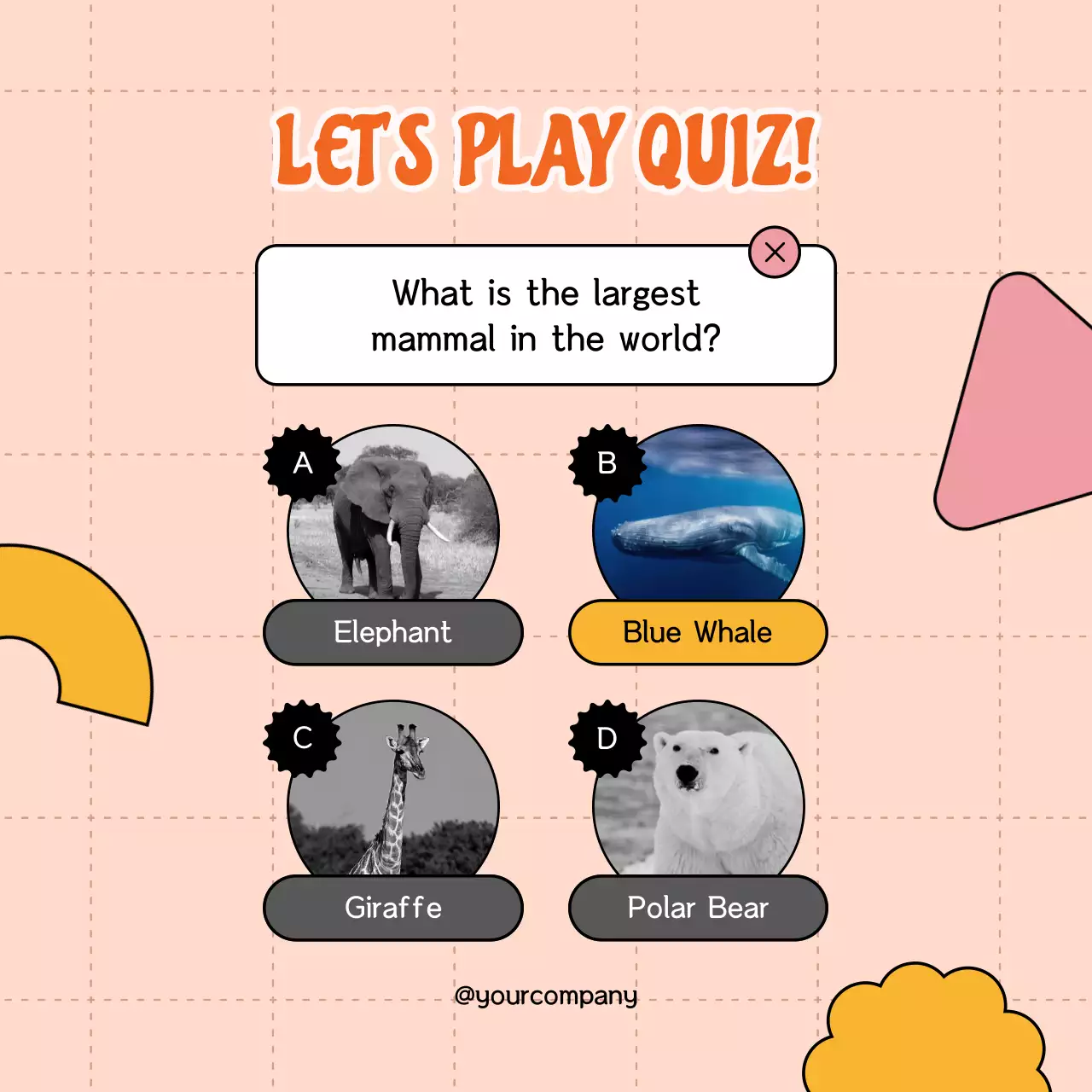 Orange Simple Trivia Quiz Publicity