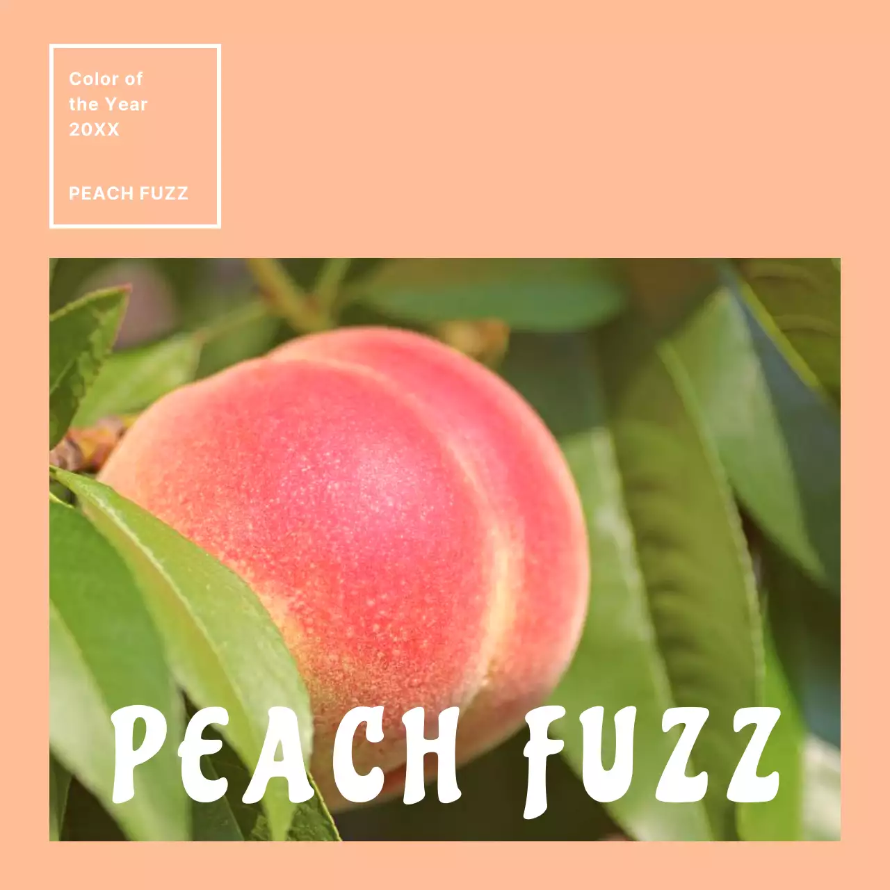 Peach Retro Fruit Announcement Social Media Post