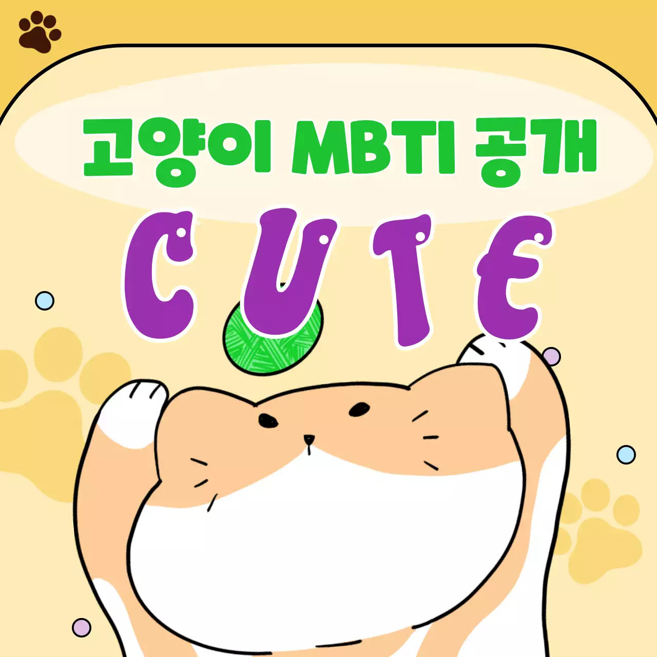 주황색의 심플한 일러스트 고양이 엠비티아이