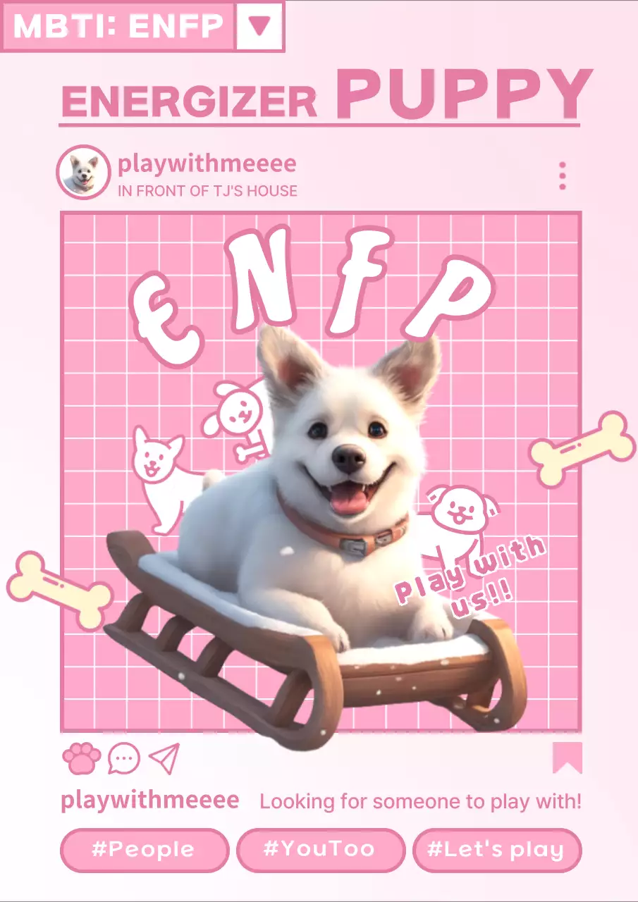 Introducing the MBTI personality types in pink and white Tweet