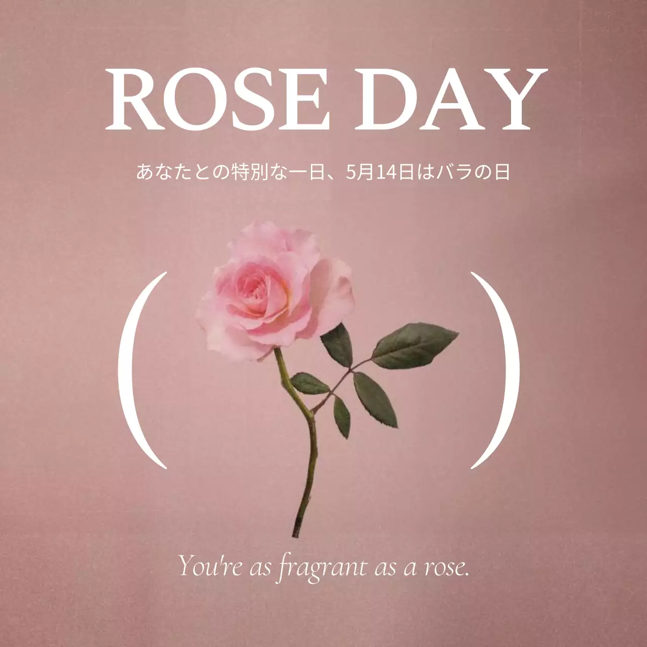 ピンク シンプル バラ ポスター
