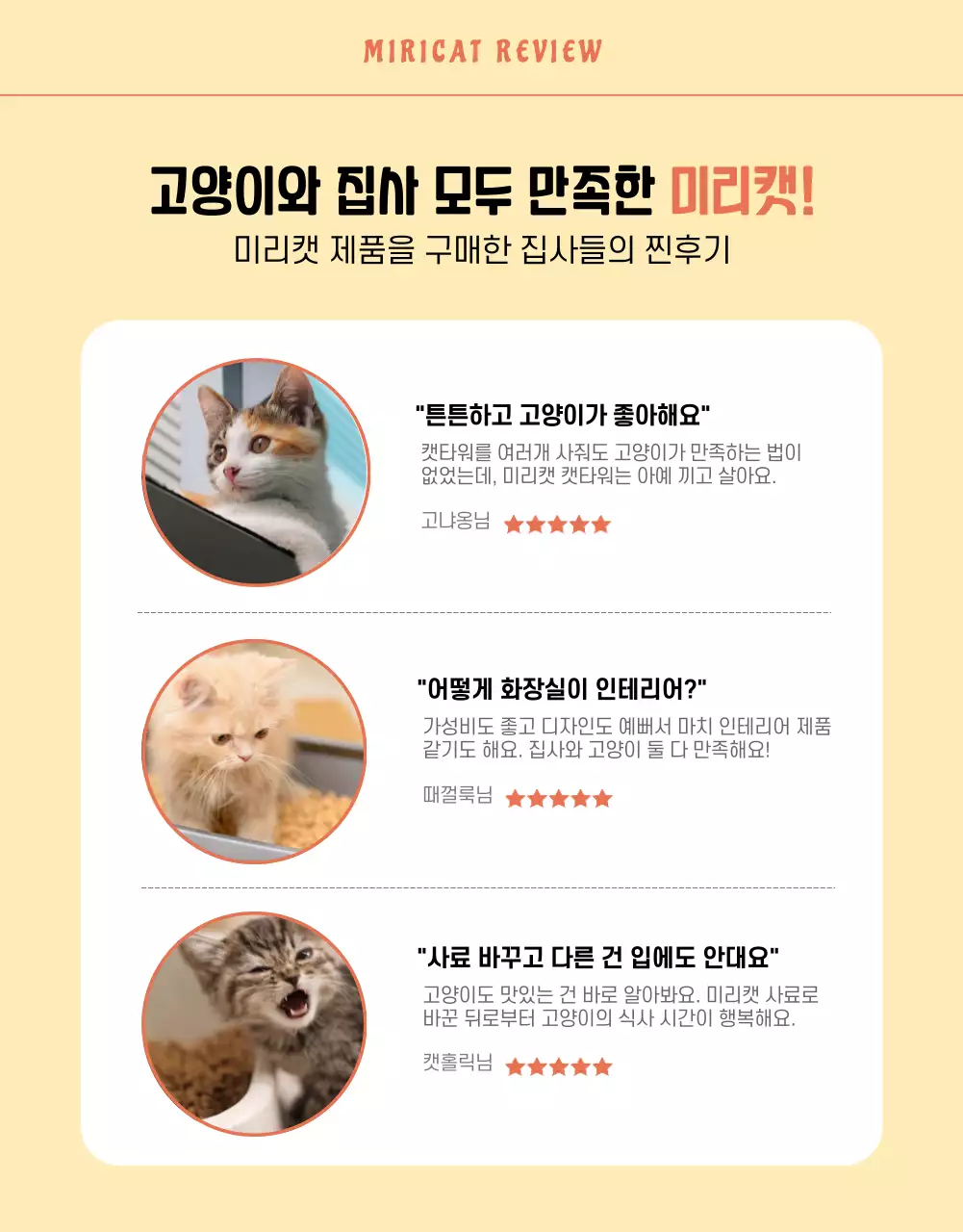 주황색과 노란색 조화의 귀여운 일러스트 고양이용품 할인 이벤트