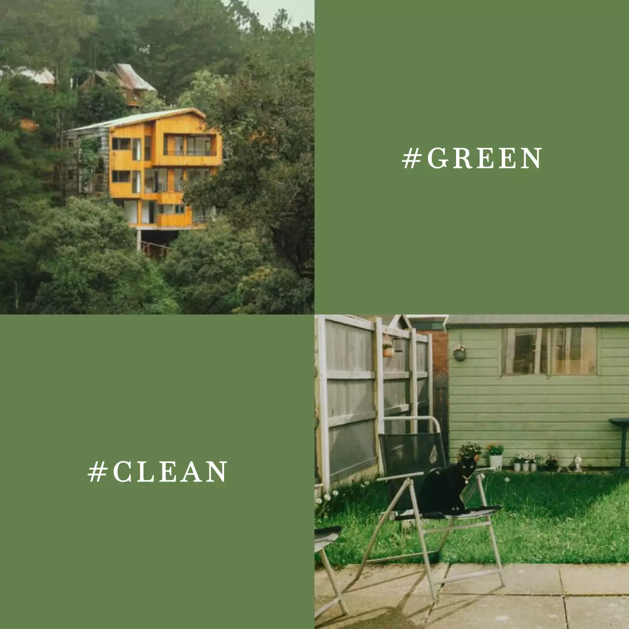 카키와 흰색의 심플한 자연 휴양지 숲 게시글