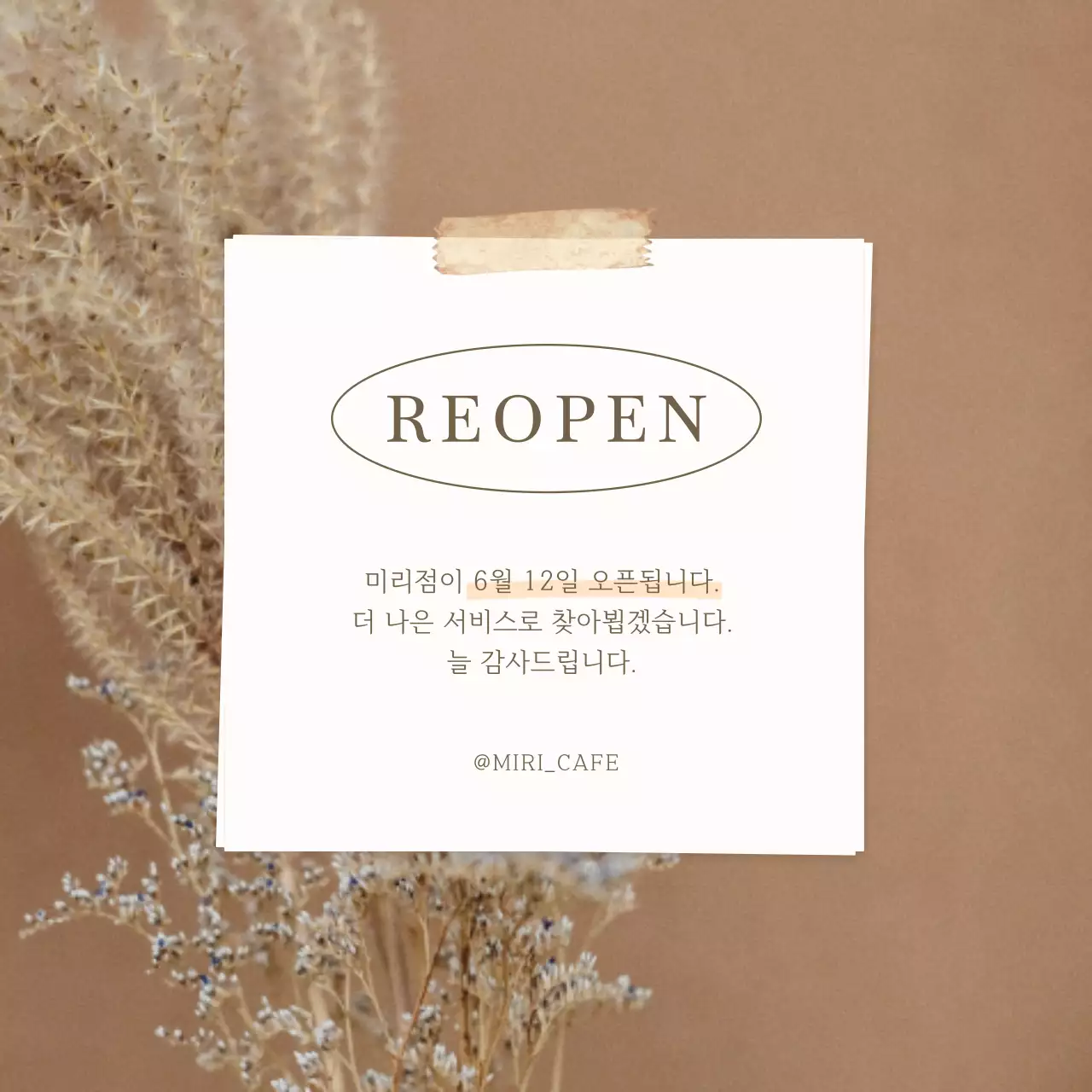 베이지색과 흰색의 모던한 오픈 리뉴얼 게시글