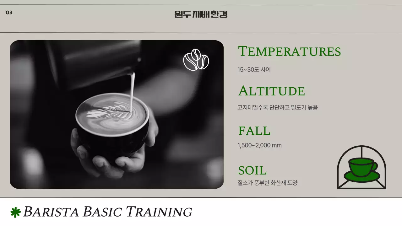 모노톤과 녹색 조합의 심플한 바리스타 기초 교육