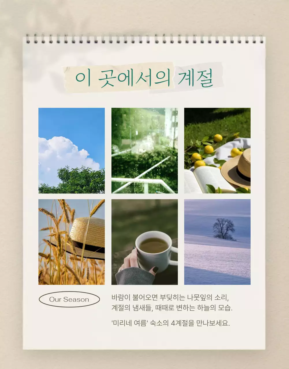 초록과 베이지색의 아기자기한 여름 감성숙소 예약안내 및 홍보