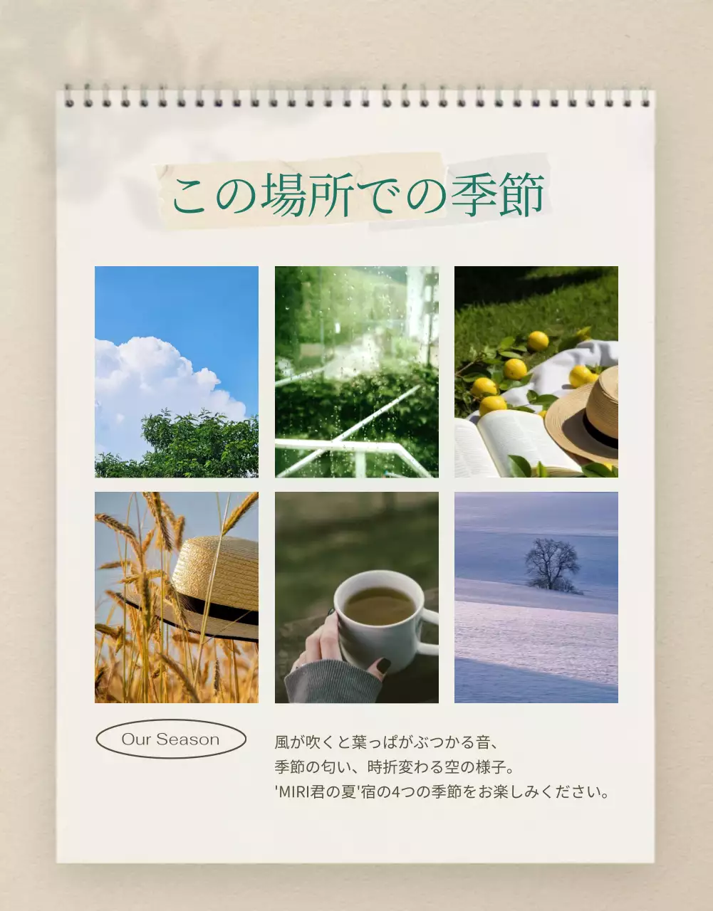 ベージュ ナチュラル 宿泊施設 パンフレット 詳細ページ