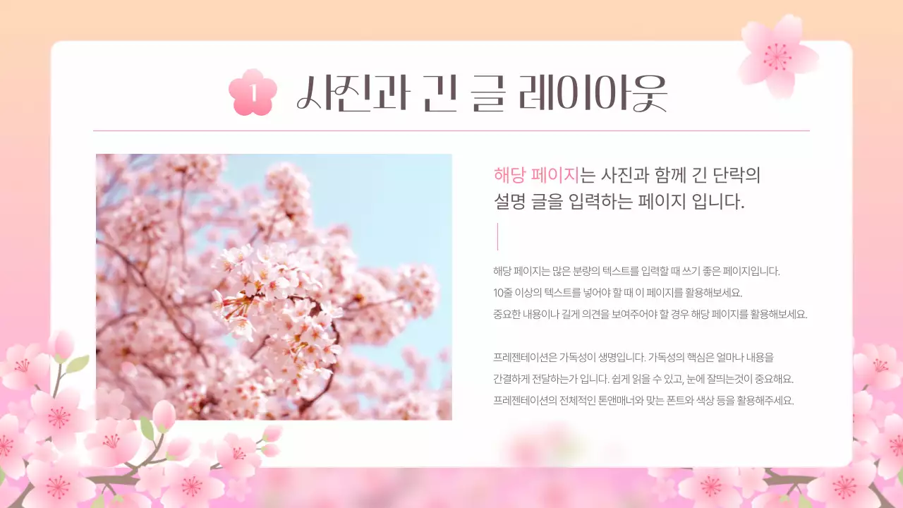 핑크색의 아기자기한 벚꽃 기획서