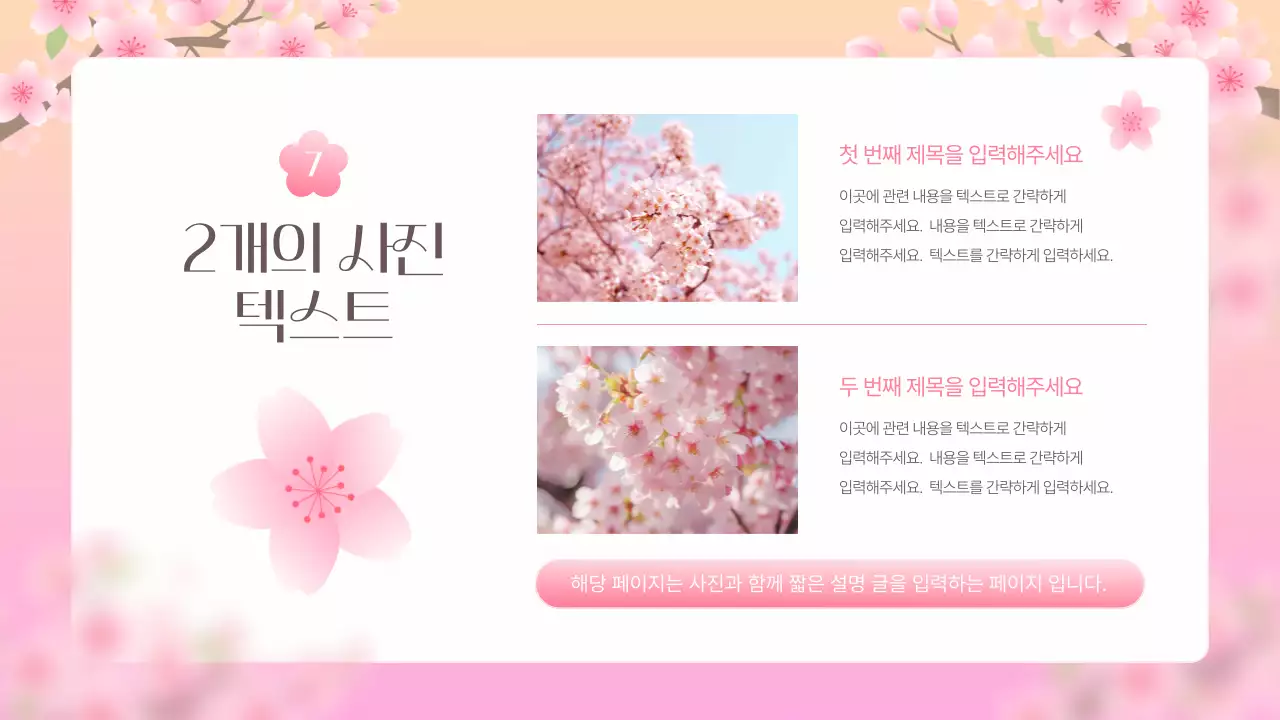 핑크색의 아기자기한 벚꽃 기획서