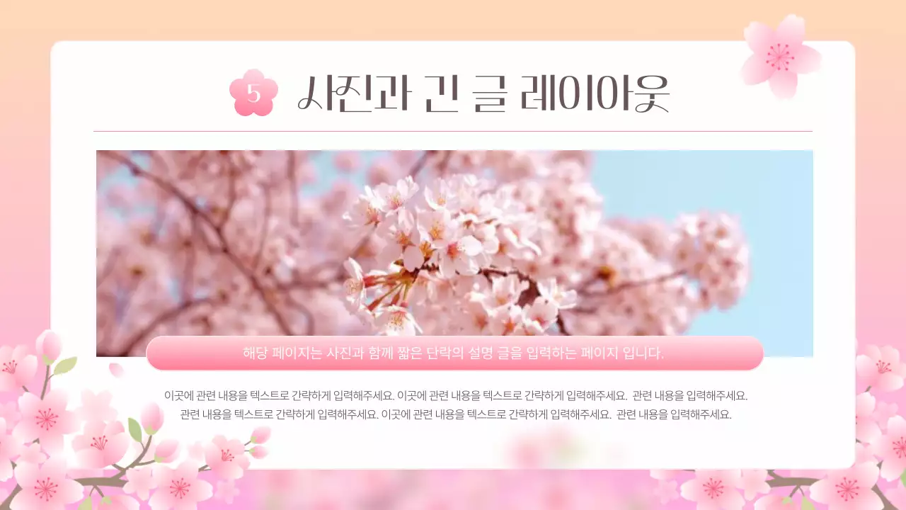 핑크색의 아기자기한 벚꽃 기획서