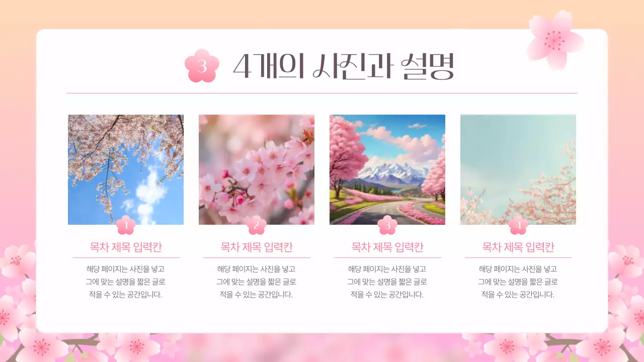 핑크색의 아기자기한 벚꽃 기획서