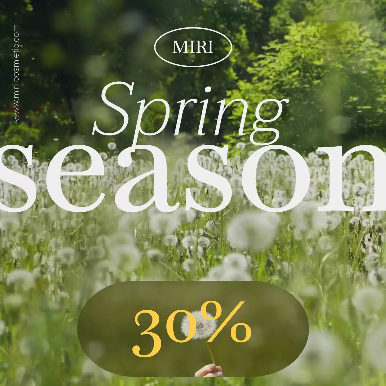 초록색 들판에 봄 꽃이 있는 봄 시즌 세일