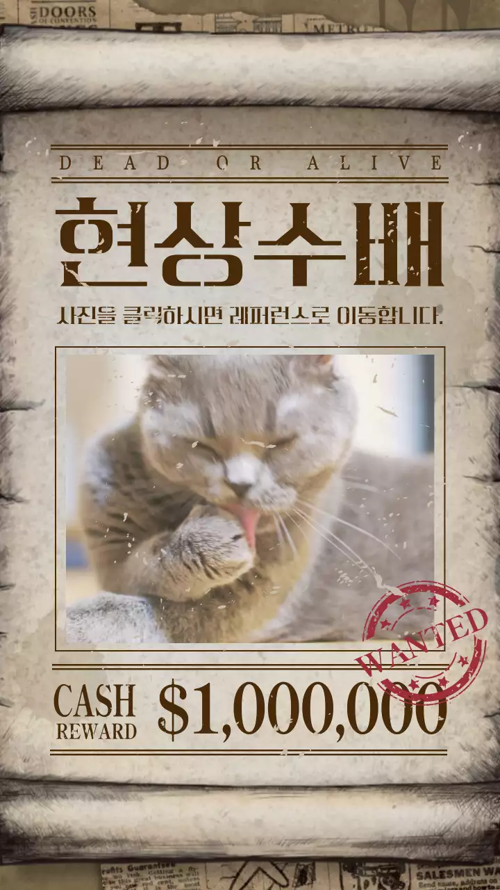 베이지색의 고양이 현상수배 포스터