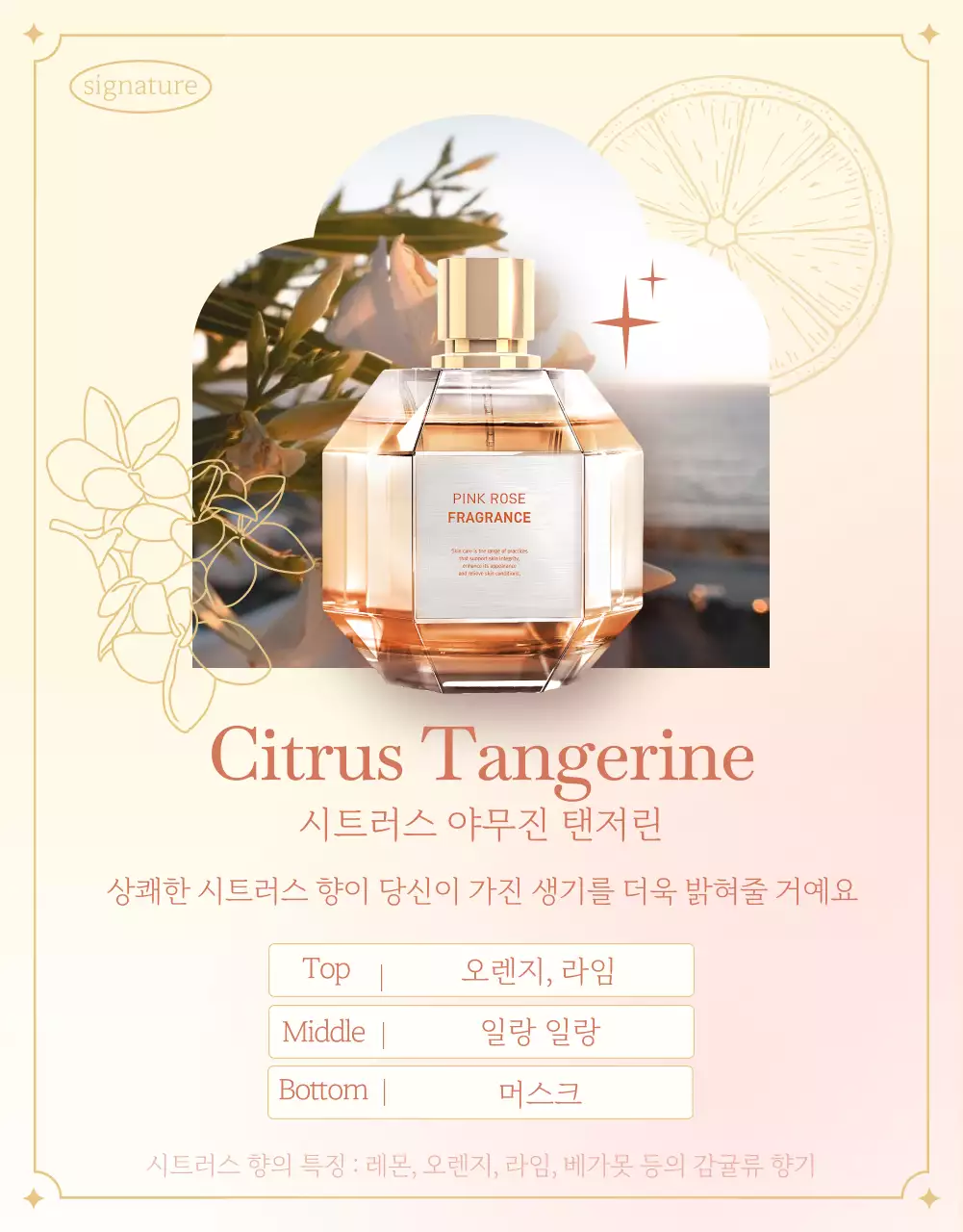 주황색과 아이보리색의 고급스러운 상품 브랜드 안내서