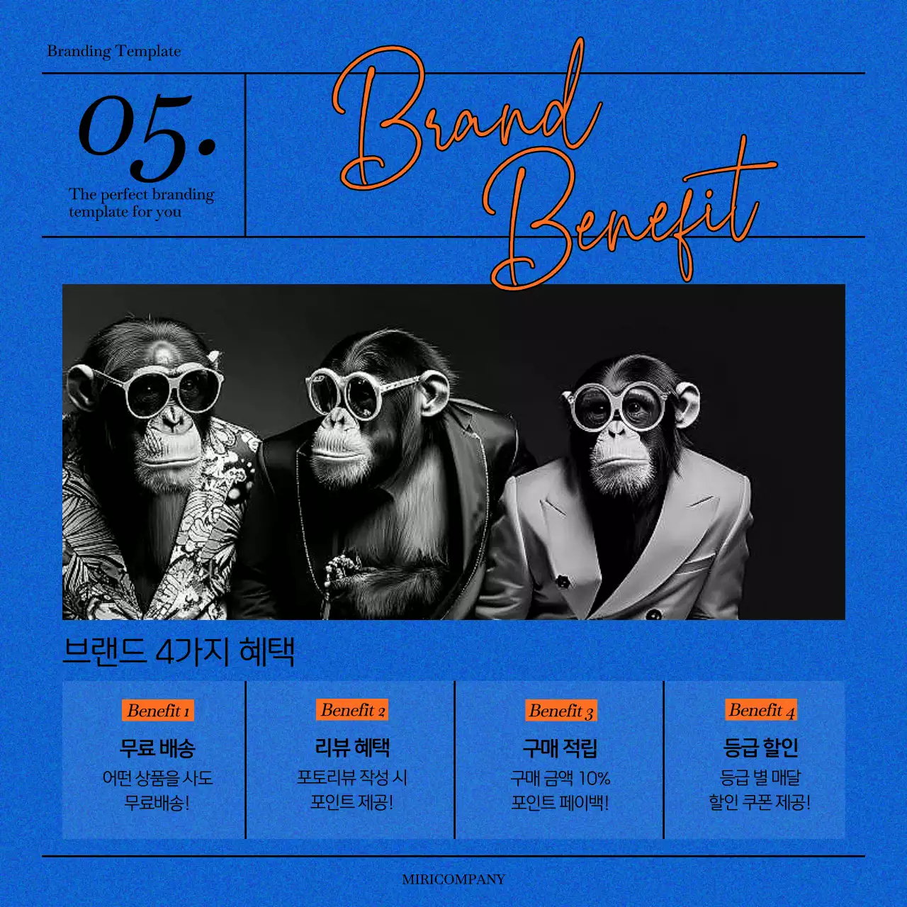 파랑과 주황의 심플한 브랜드 소개서