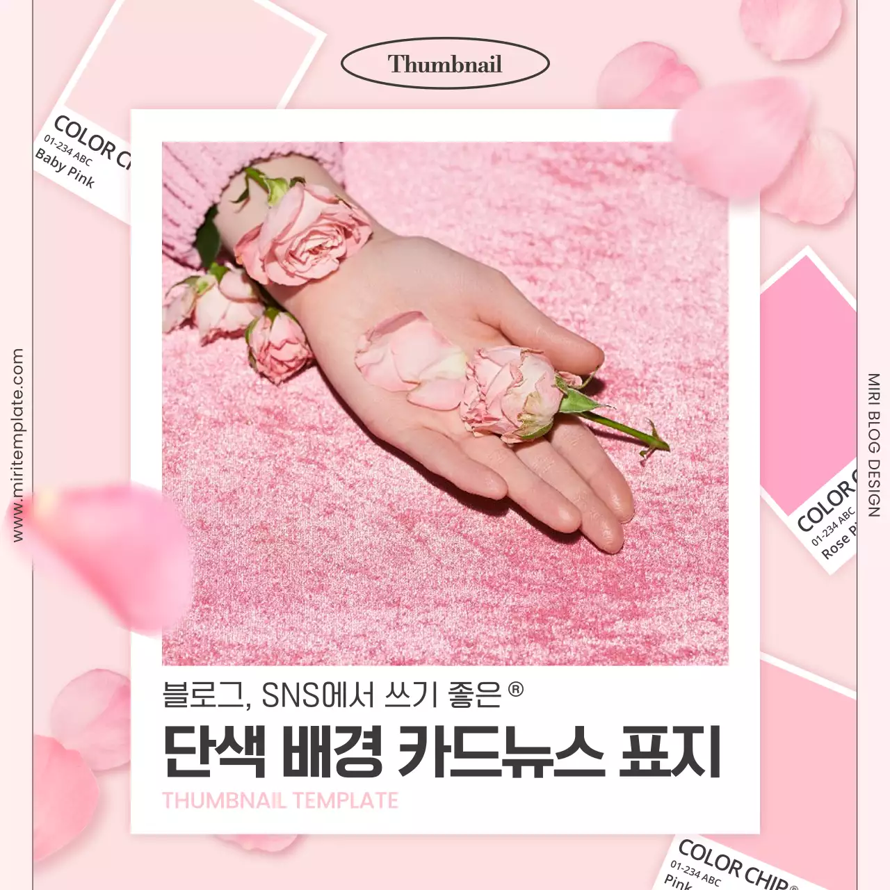 핑크와 흰색의 트렌드한 SNS 색상별 썸네일 게시글