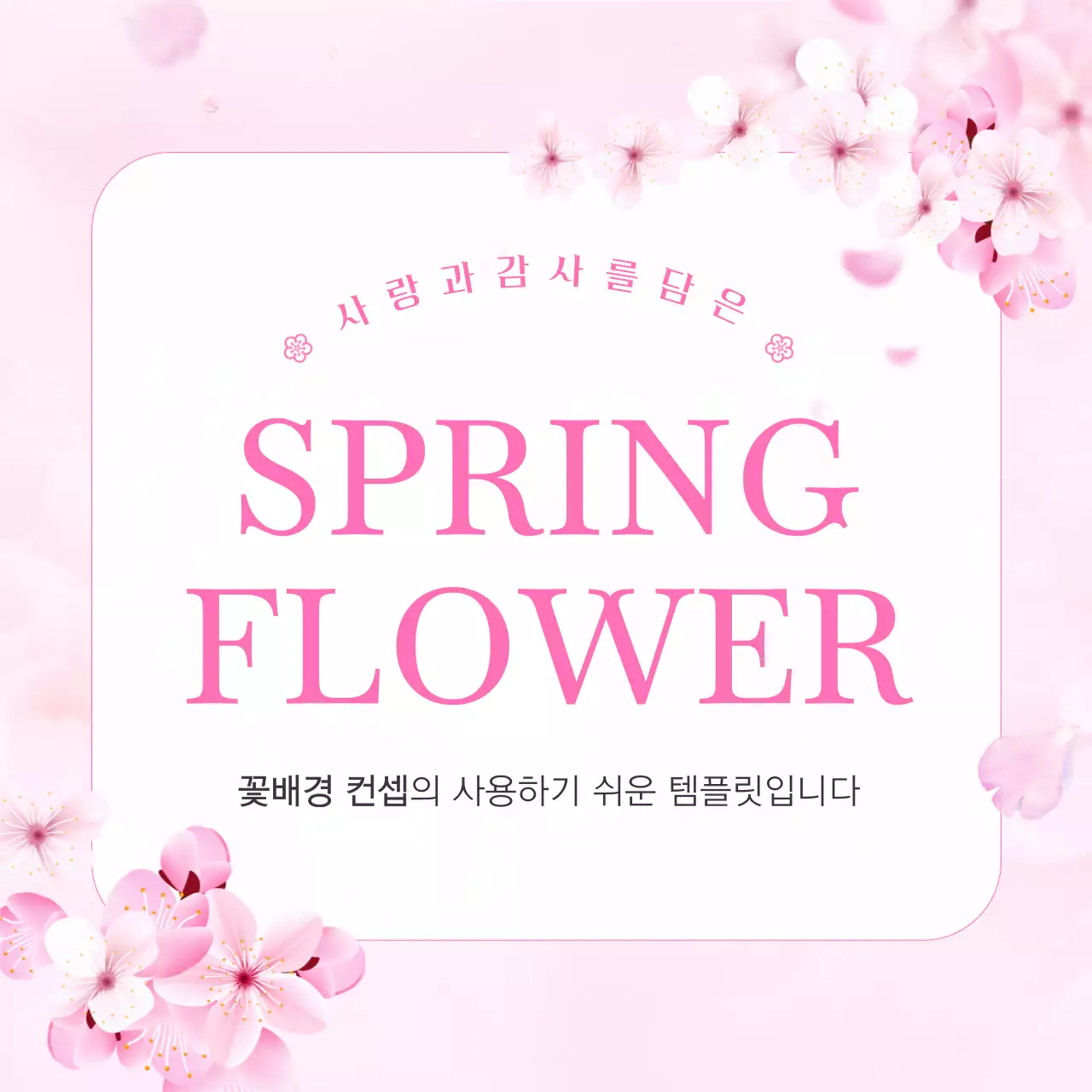 핑크색의 아기자기한 봄 벚꽃 뉴스레터