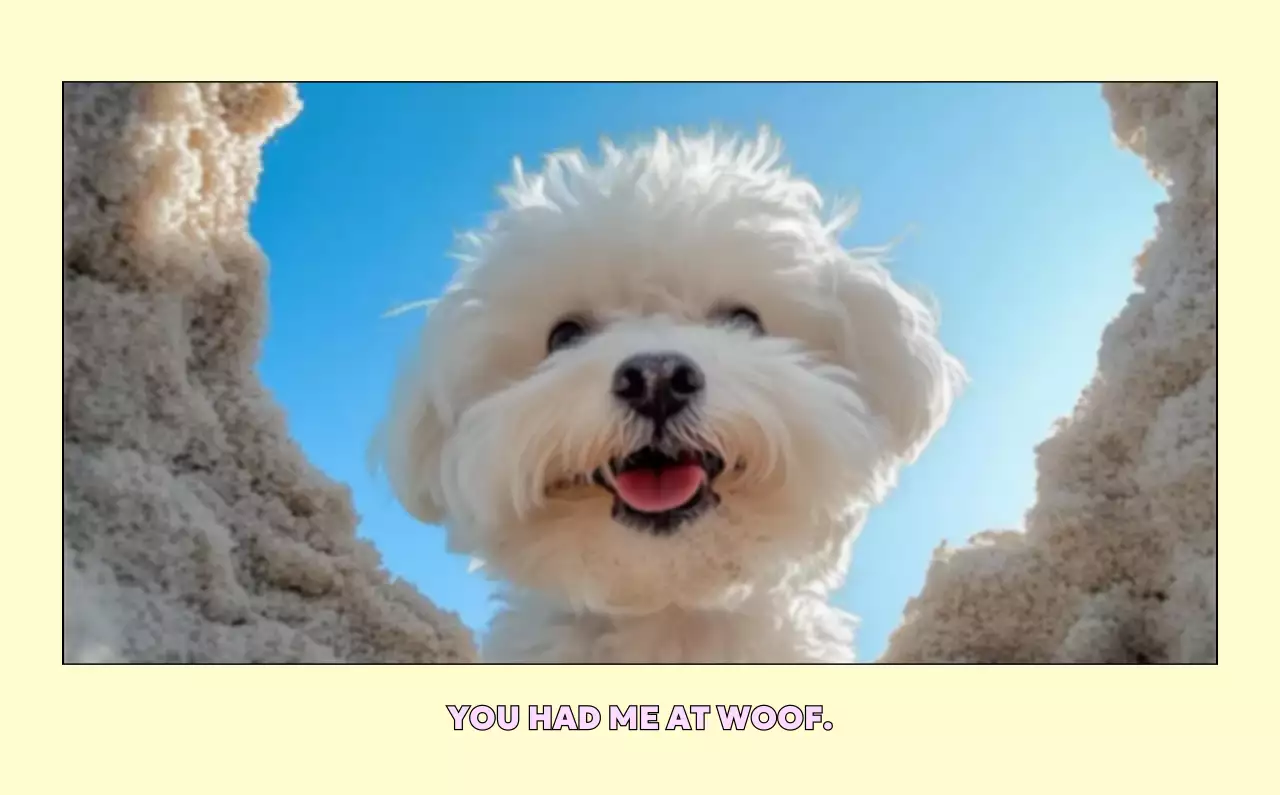 黄色 かわいい ペット カレンダー