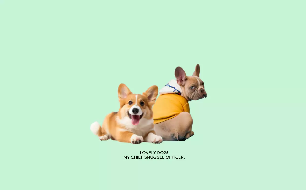 黄色 かわいい ペット カレンダー