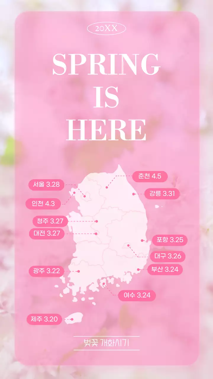 핑크톤의 심플하고 감성적인 벚꽃 개화시기 안내 테마