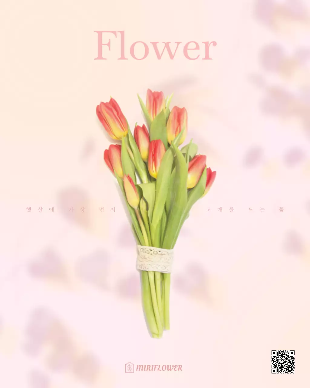 핑크 심플 꽃 광고