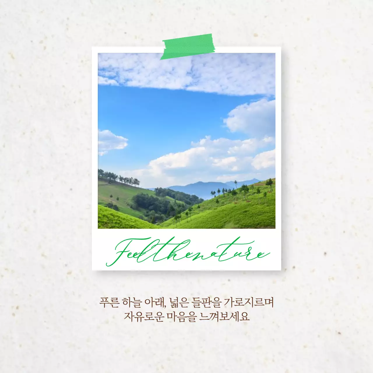 베이지 초록색 폴라로이드 콜라주 좋은 글 인스타그램 게시물