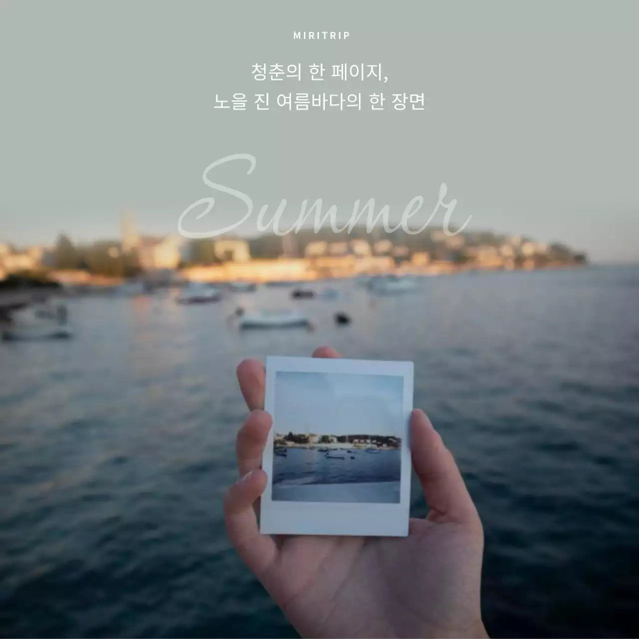 카키색의 심플한 여름감성문구 게시글