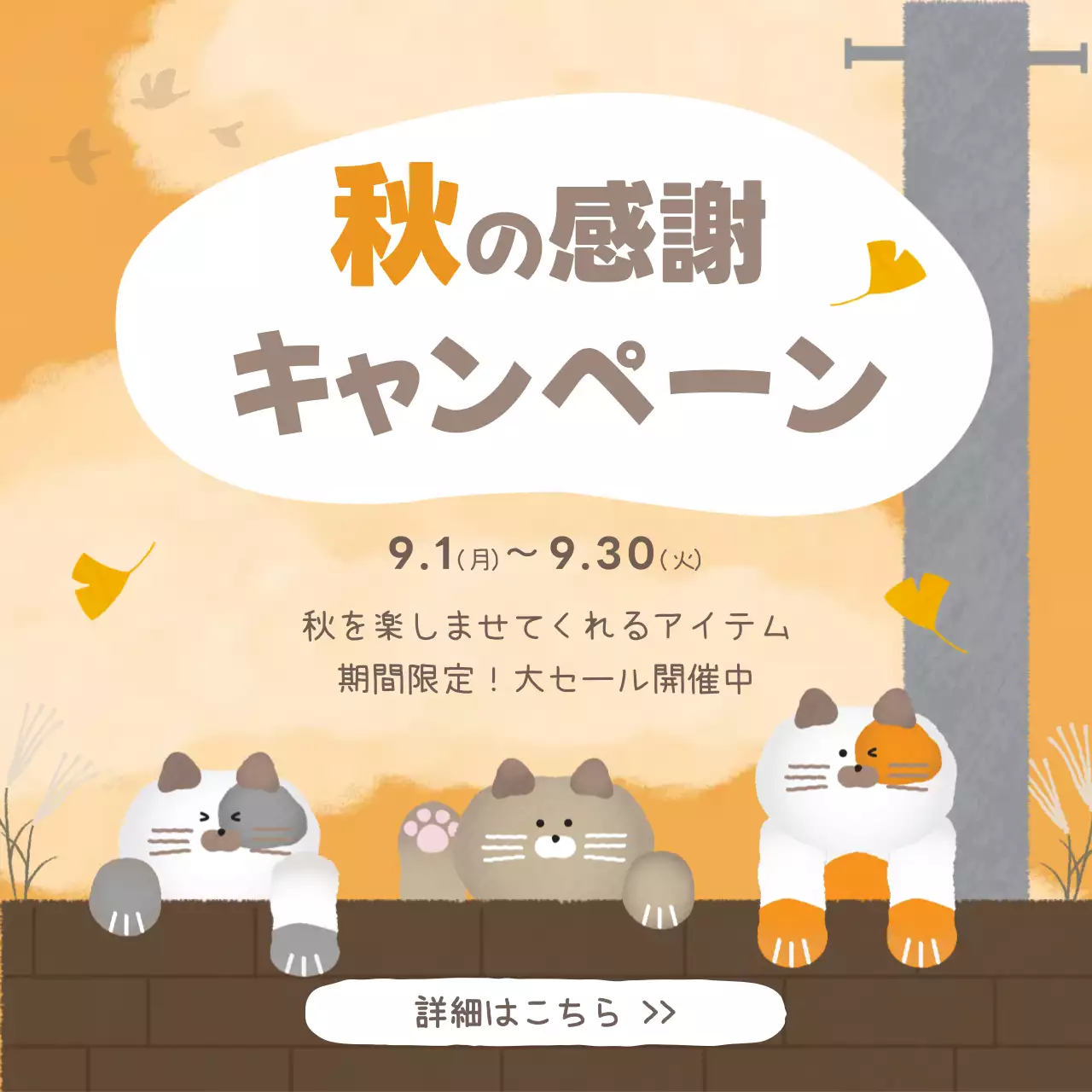 オレンジ かわいい キャンペーン ポスター