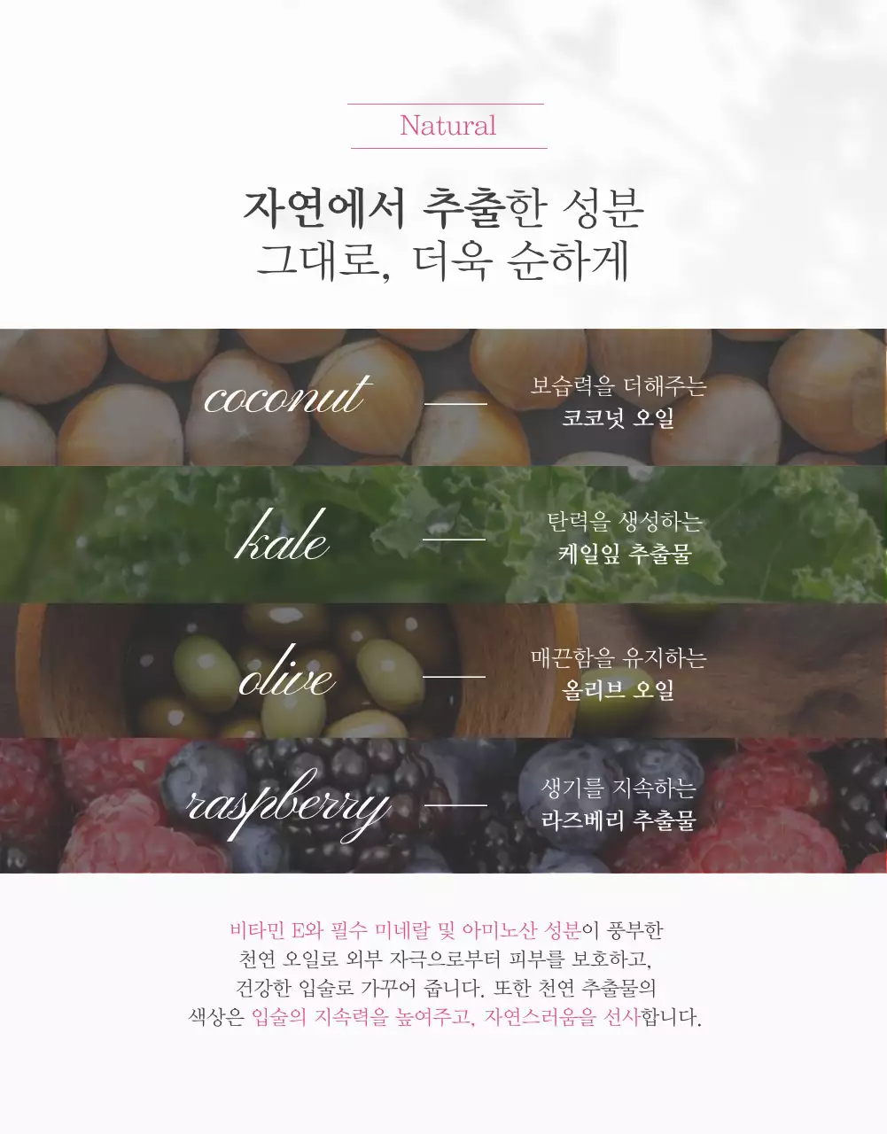 흰색과 분홍색의 깔끔하고 우아한 립밤 소개