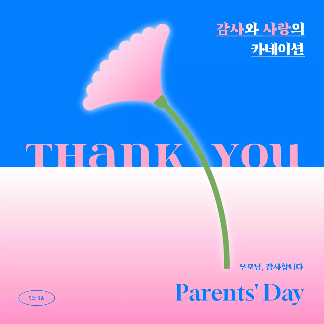 파랑과 핑크의 심플한 카네이션 광고