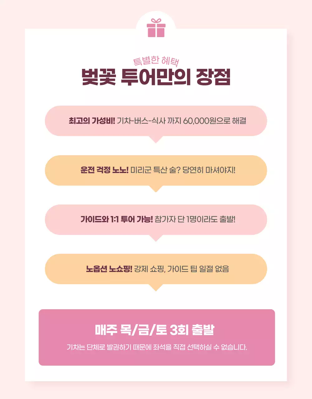 핑크 포인트 컬러의 발랄하고 아기자기한 벚꽃투어 홍보