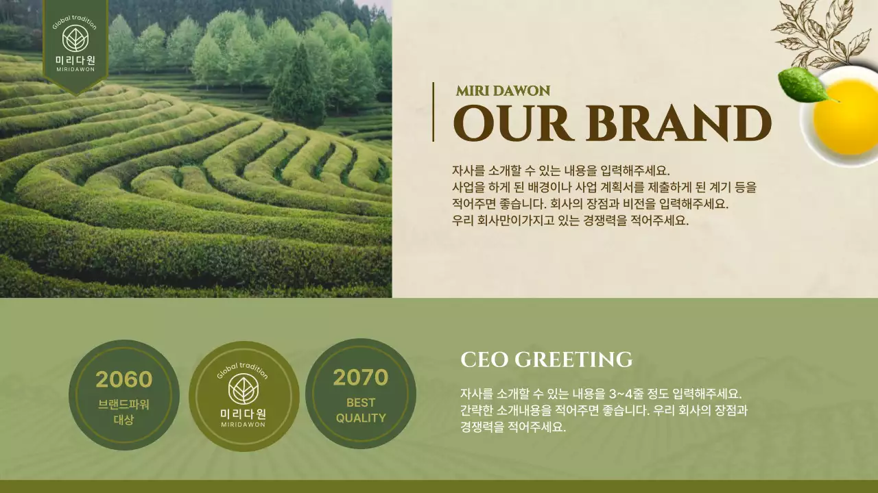 초록색의 심플한 자연 일러스트 테마의 전통차 회사소개서