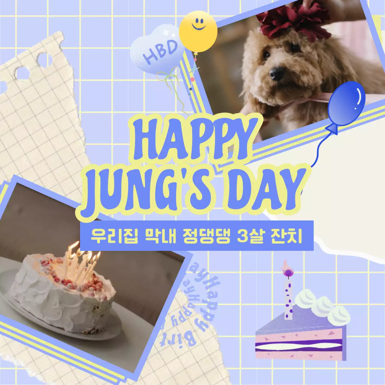 하늘색 모눈패턴 배경의 귀여운 강아지 생일 초대