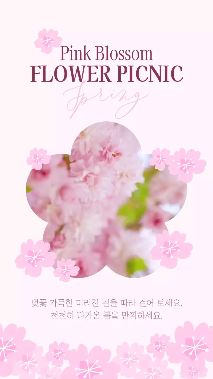 핑크색의 러블리한 컨셉의 벚꽃 행사 홍보 내용