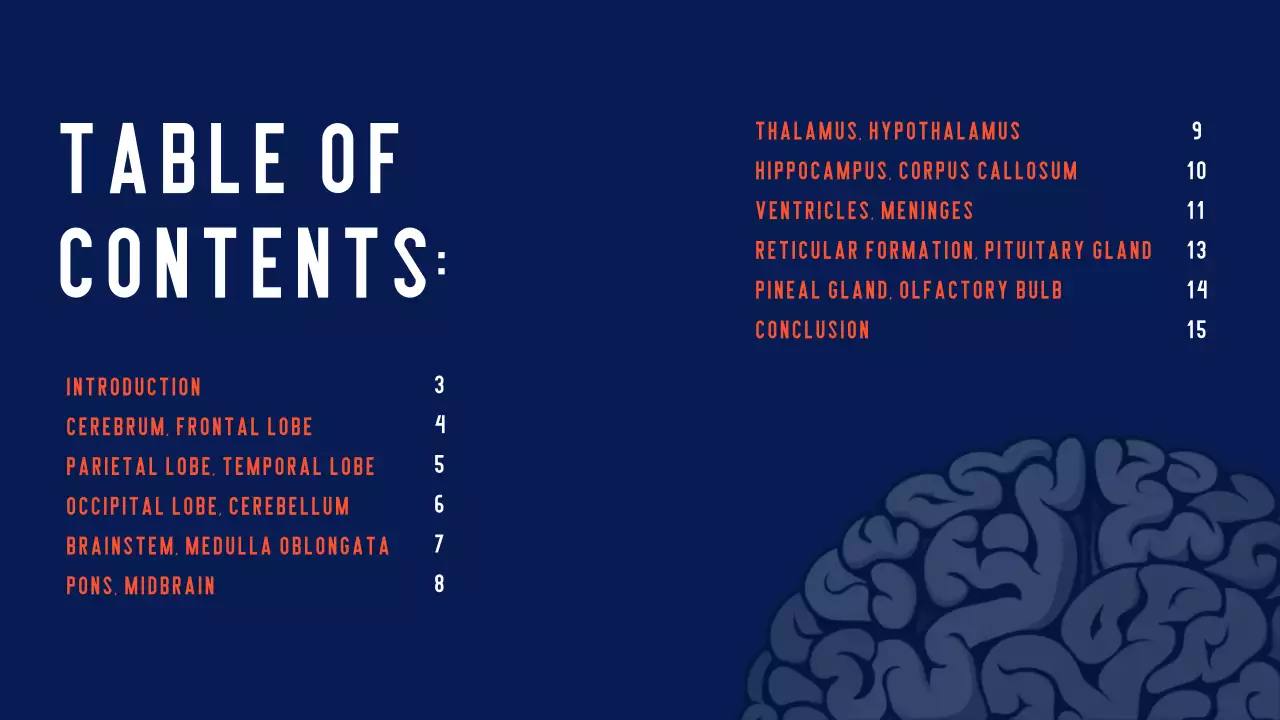 Navy Modern Brain Guide Presentation