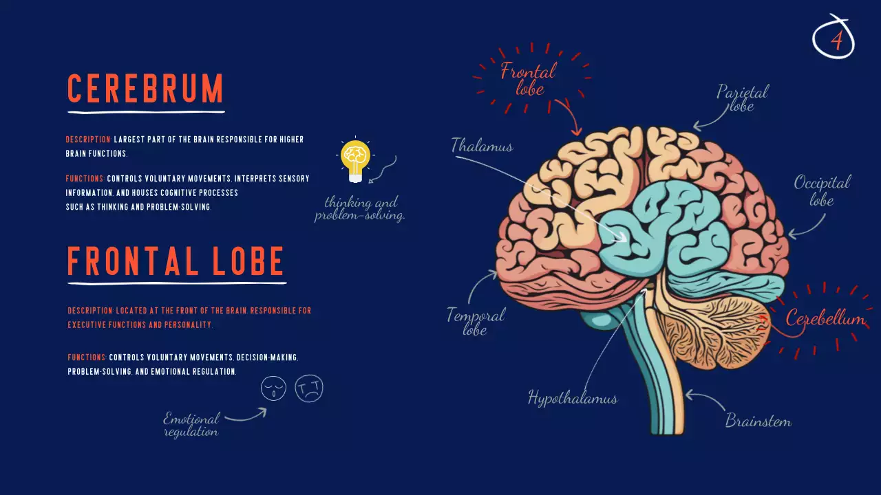Navy Modern Brain Guide Presentation