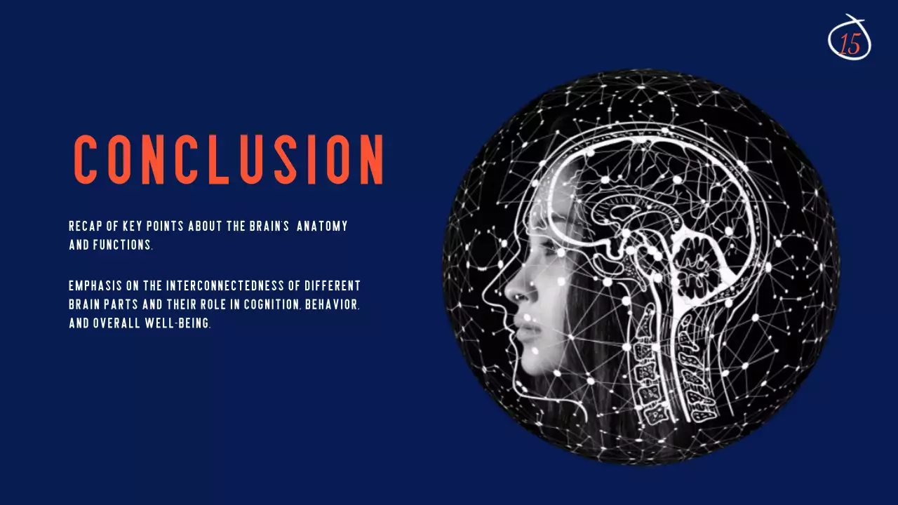 Navy Modern Brain Guide Presentation