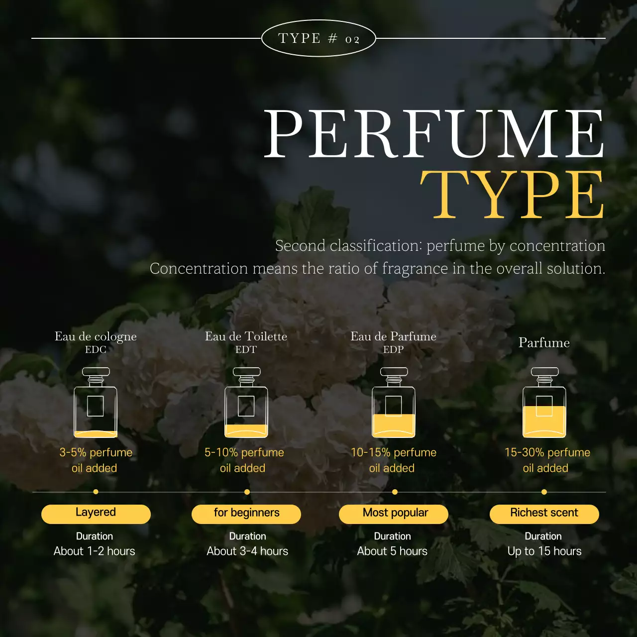 Gold Elegant Perfume Guide Instagram Carousel