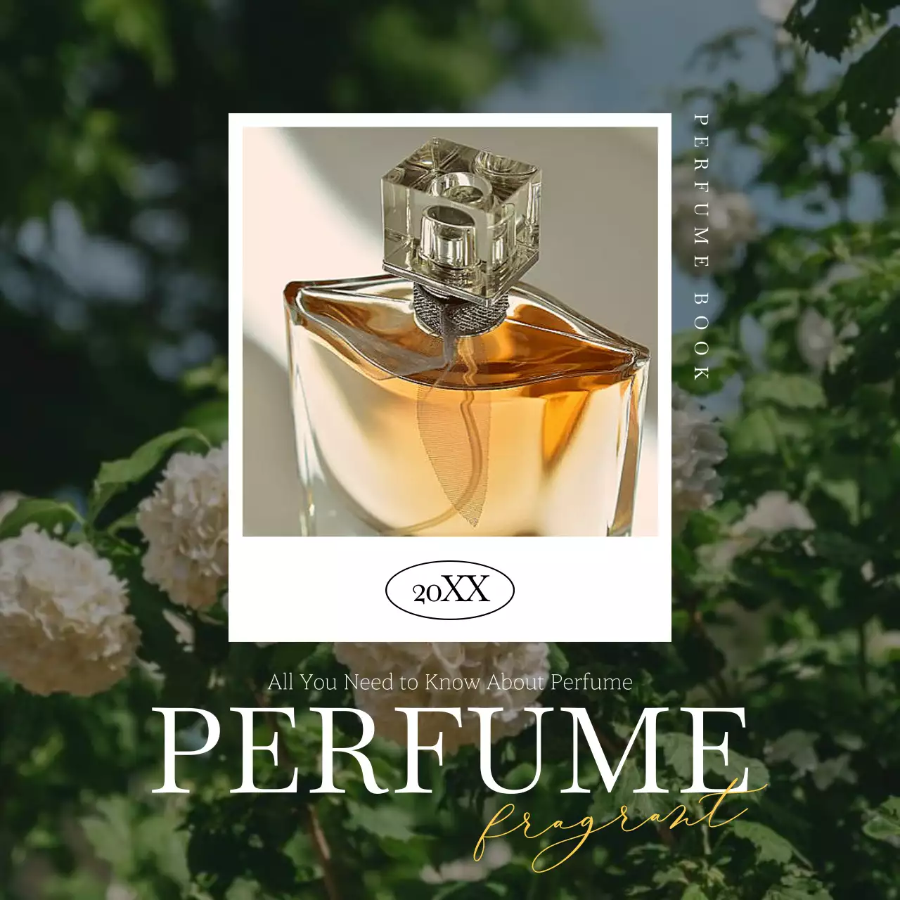 Gold Elegant Perfume Guide Instagram Carousel