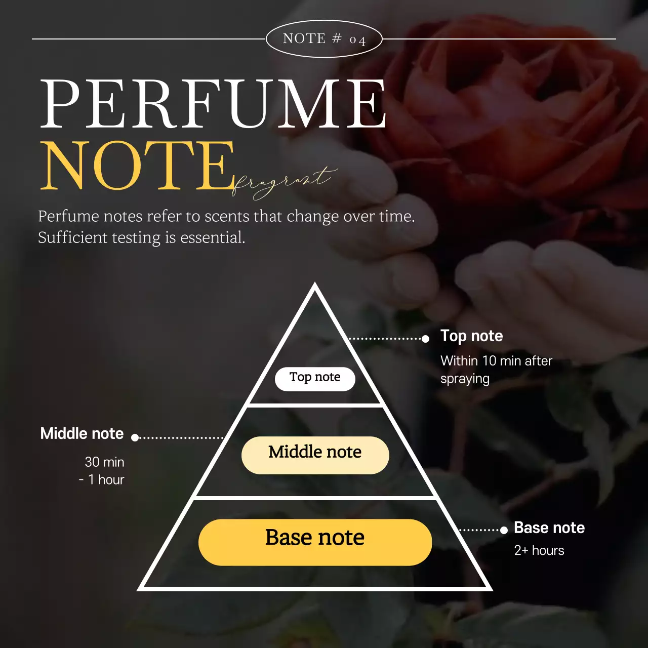 Gold Elegant Perfume Guide Instagram Carousel