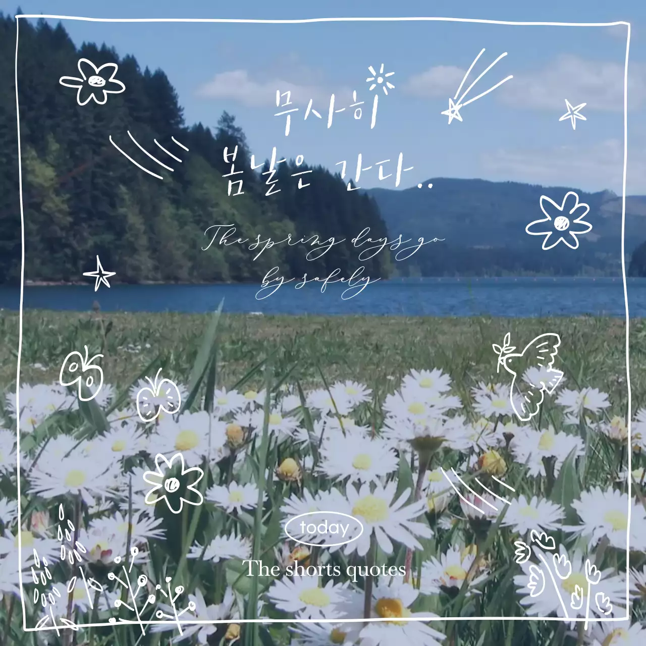 감성적인 들판 영상 배경의 손그림 컨셉 오늘의 글귀