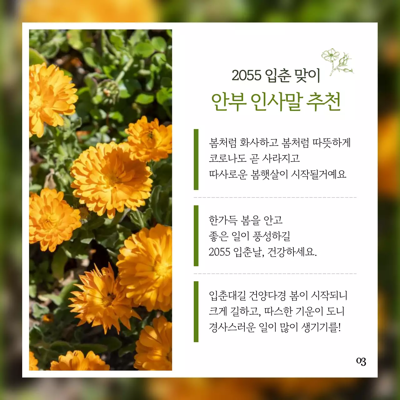 녹색 포인트의 감성적인 입춘 