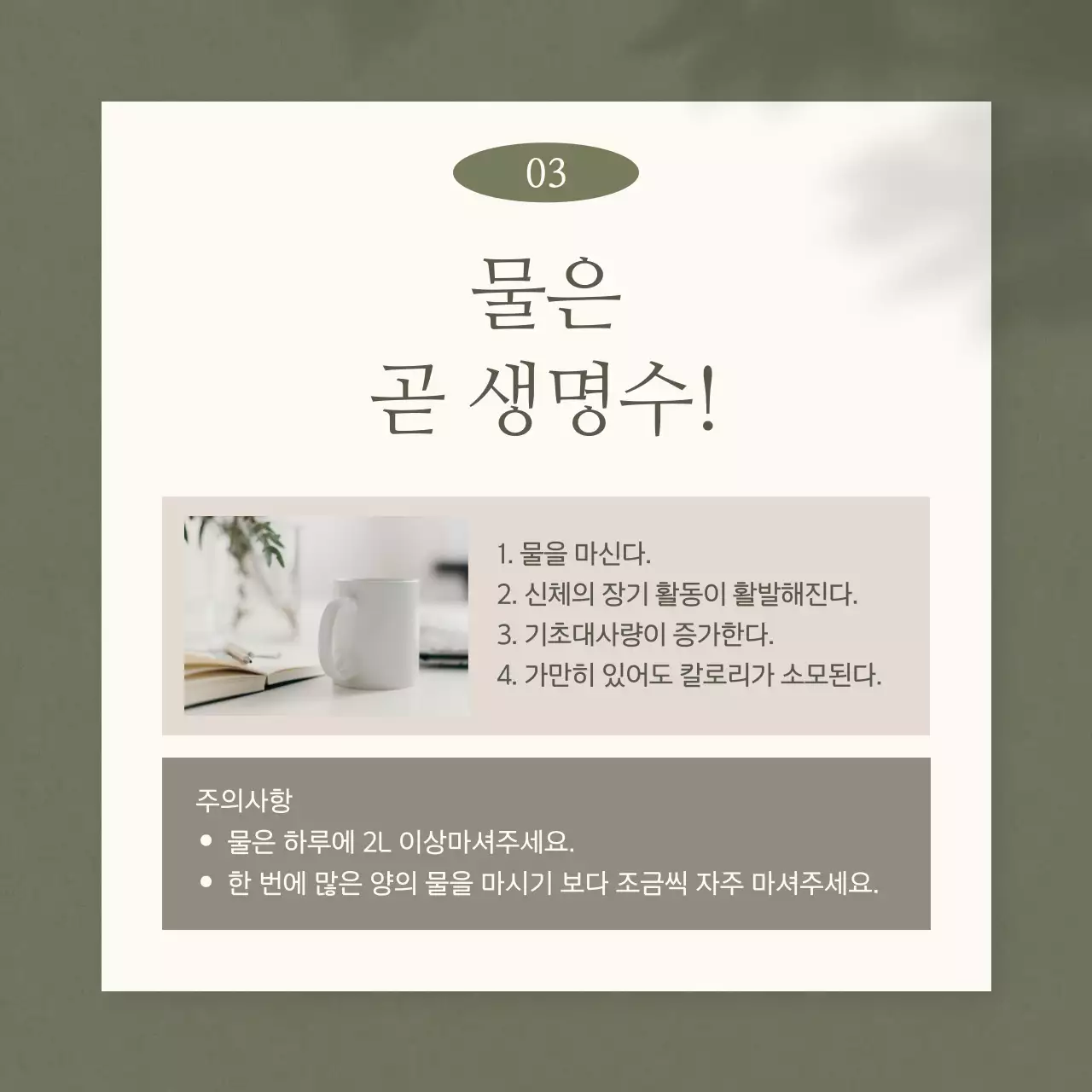 카키와 베이지의 심플한 한의원 다이어트 홍보