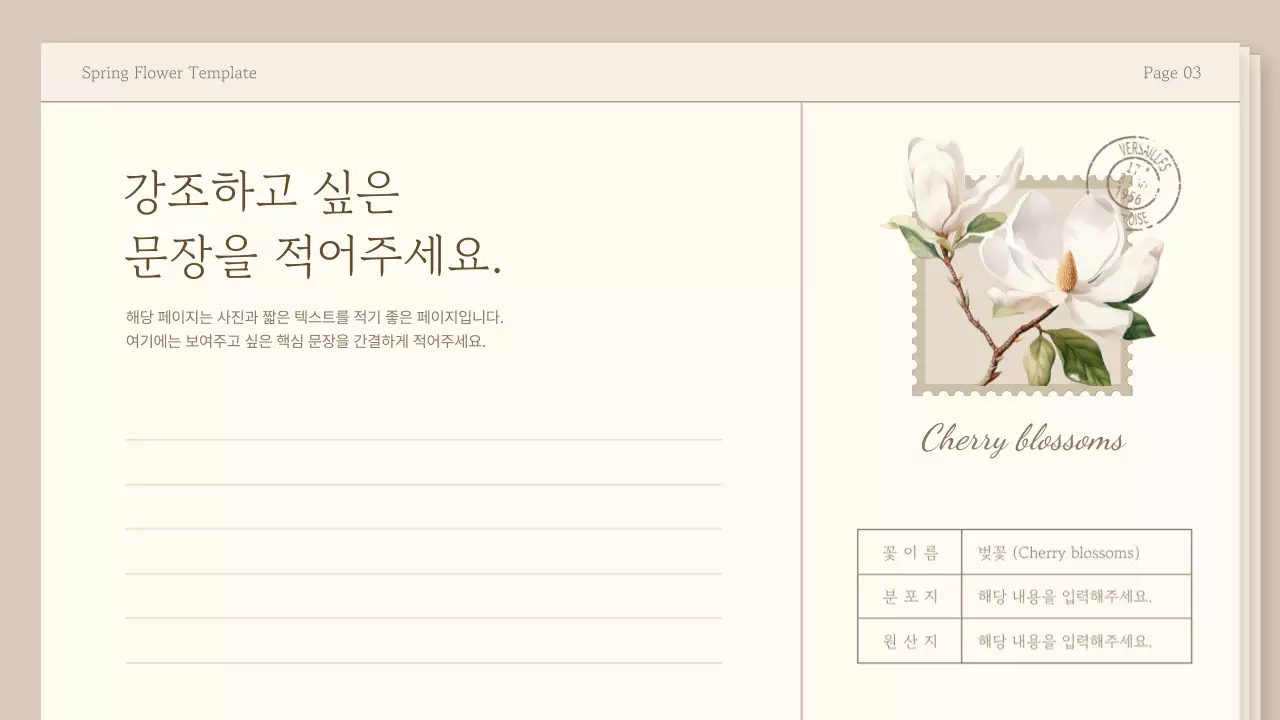 베이지와 아이보리색의 심플한 봄 꽃 교육자료