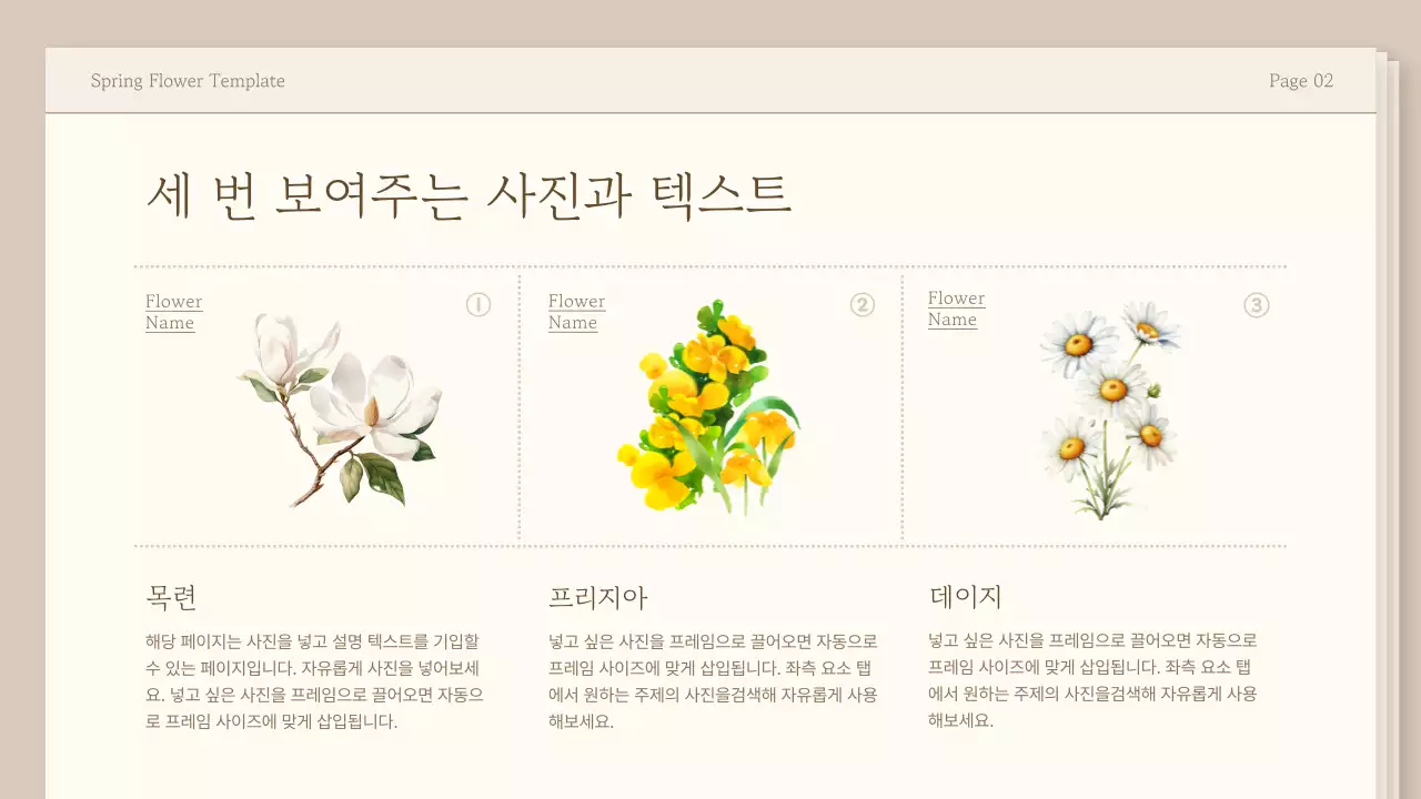 베이지와 아이보리색의 심플한 봄 꽃 교육자료