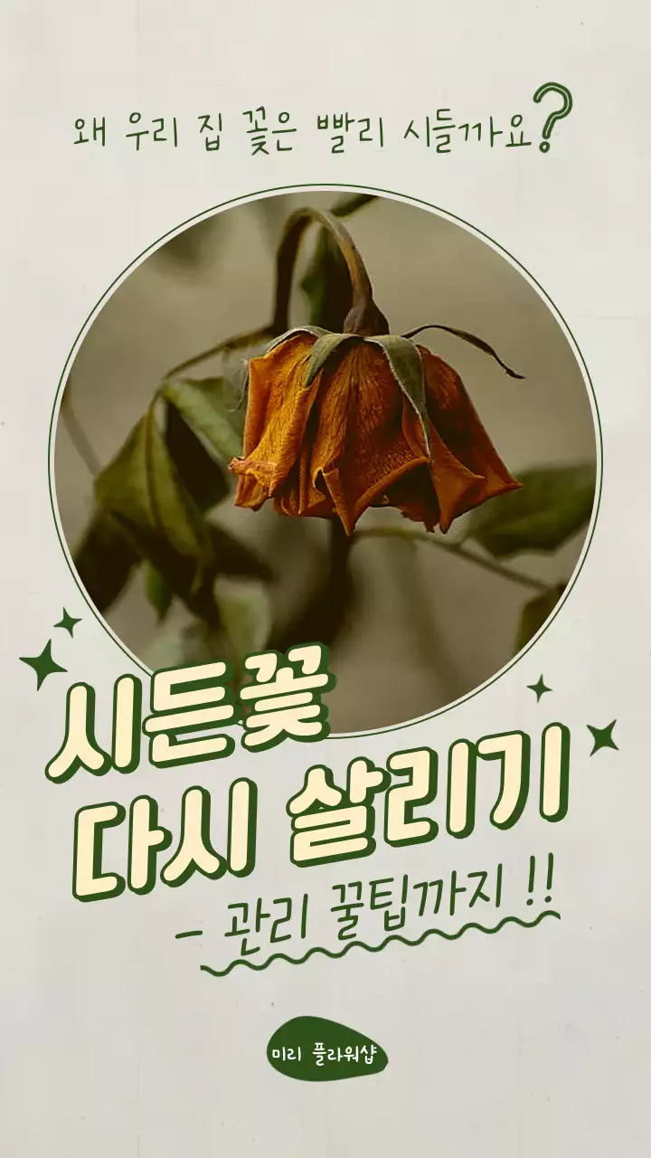 초록 심플 가드닝 관리 방법