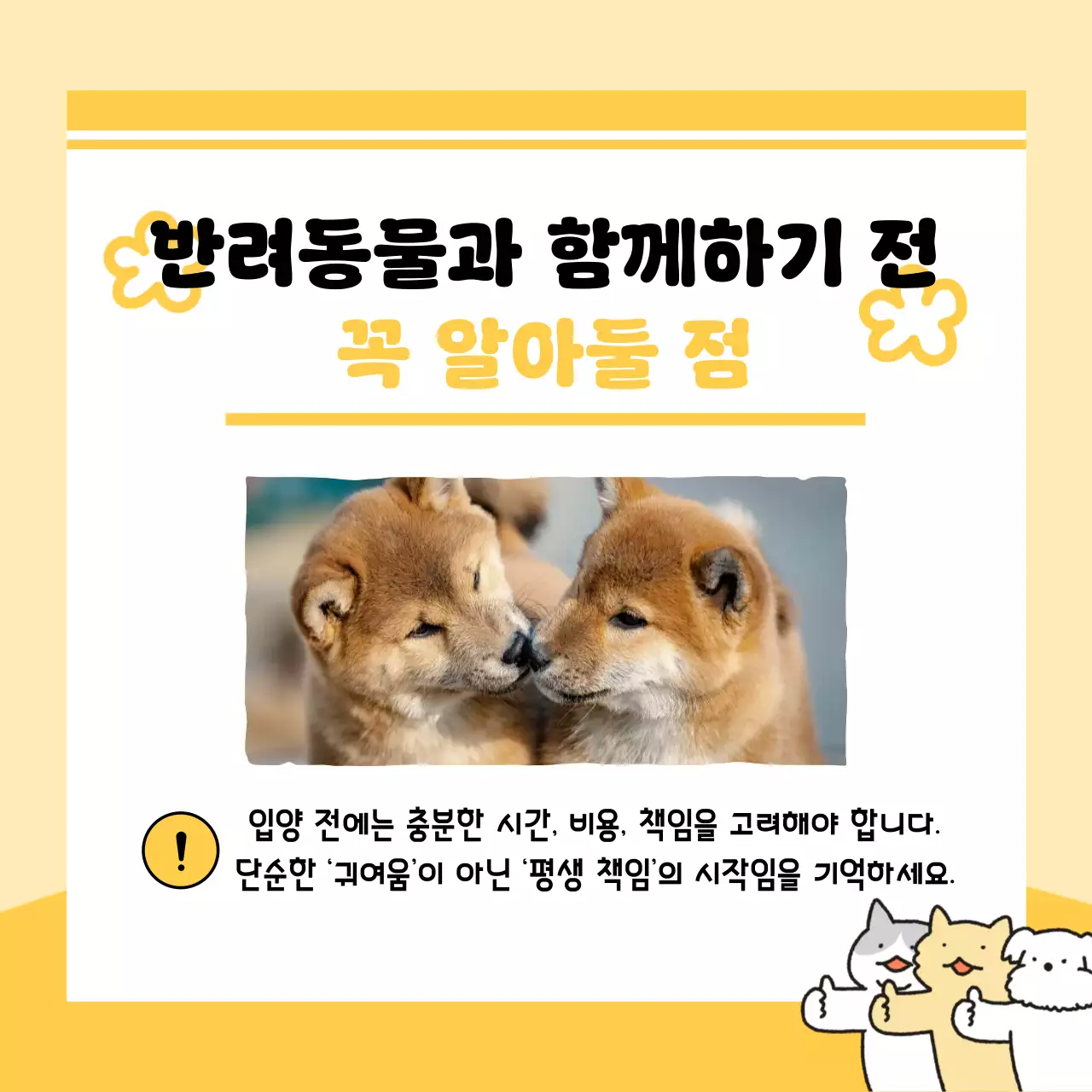 노랑 아기자기한 반려동물 안내