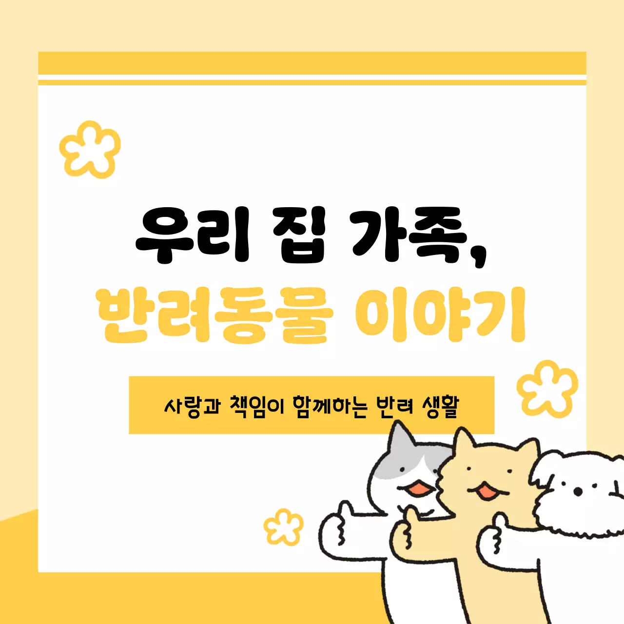 노랑 아기자기한 반려동물 안내