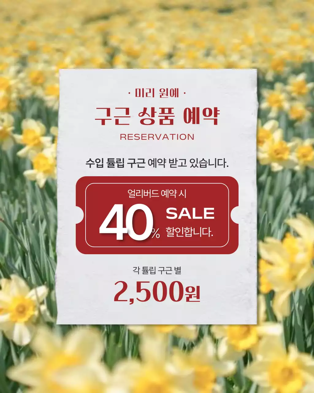 노랑 심플 할인 예약 안내